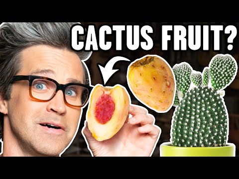 Exotic Fruits Taste