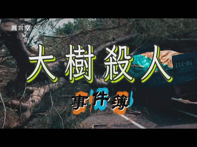 【民視異言堂｜大樹殺人事件簿】逢甲校樹倒塌壓死學生 推判「樹癌」褐根病惹的禍 如何防治 實地診斷