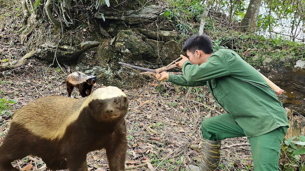 Full video : for a year of farm building. Wild survival, alone.