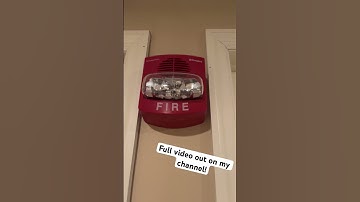 System Test 2 Short - Walk Test