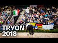 RE-LIVE | Vaulting - Male Freestyle Final - Tryon 2018 | FEI World Equestrian Games™