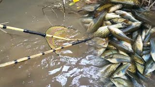 Download Lagu NYETRUM IKAN WADER DI SUNGAI KECIL DAPAT BANYAK MP3