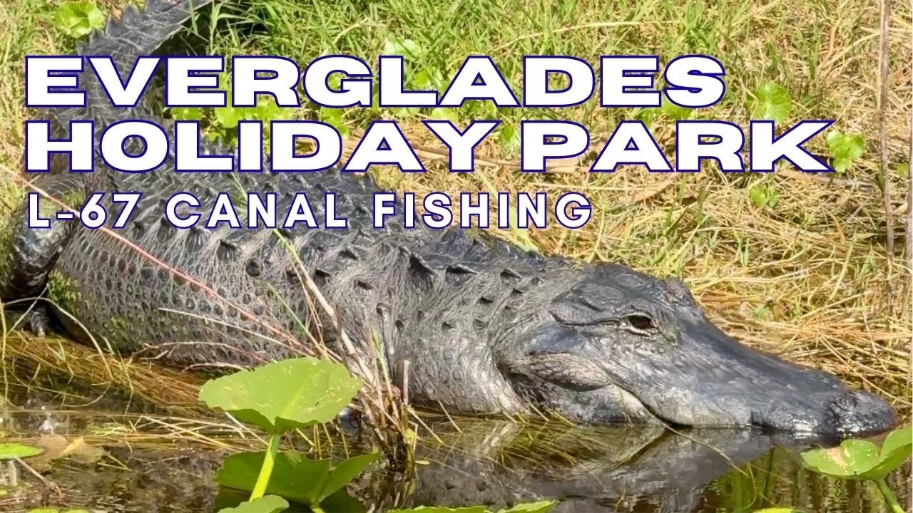 Everglades Holiday Park FISHING! L-67 Canal BASS Fishing (Not Airboats!)