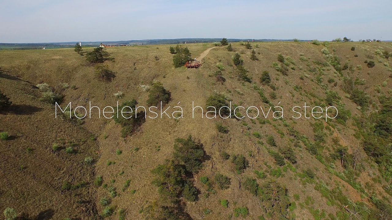 Mohelensk U00e1 Hadcov U00e1 Step