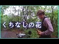 くちなしの花 2021.5.18 #テナーサックス #渡哲也