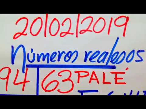 NÚMEROS PARA HOY 20/02/19 DE FEBRERO PARA TODAS LAS LOTERÍAS..!! camera iphone 8 plus apk