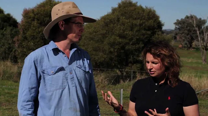2012: Tony and Vicky Geddes- Fine wool, beef & mix...