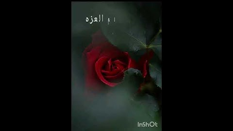 سورة النساء / الذين يتخذون الكافرين اولياء من دون المؤمنين❤️😍
