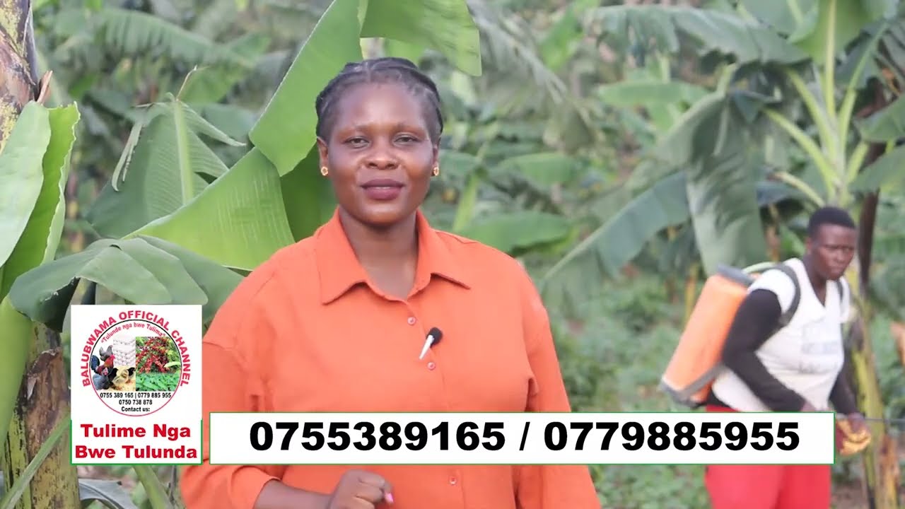 Farm Yo Jitegeke Bw'ooti