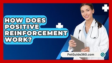 How Does Positive Reinforcement Work? - PetGuide360.com