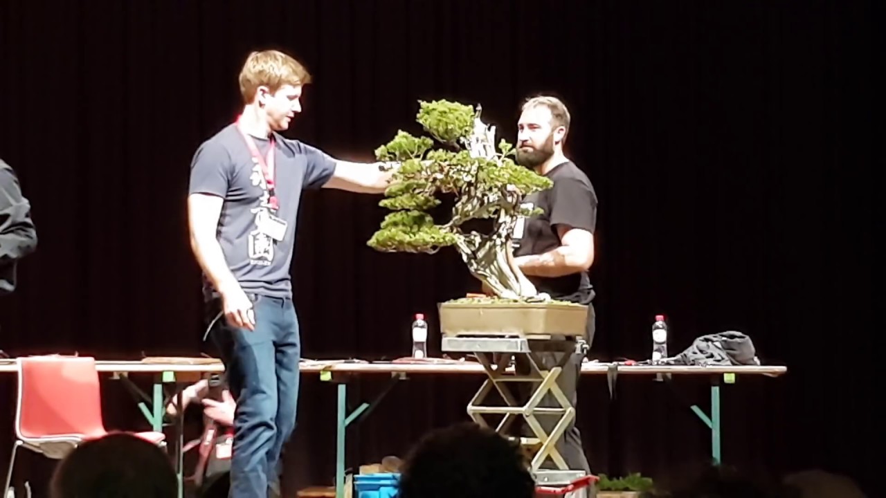 Bjorn Bjorholm and Kunio Kobayashi bonsai 2018 YouTube