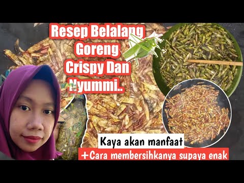 Cara Memasak Belalang Goreng
