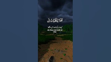 أفلا ينظرون إلى الإبل كيف خلقت | سورة الغاشية | #القرآن_الكريم #القران_الكريم_في_الصباح #تلاوات