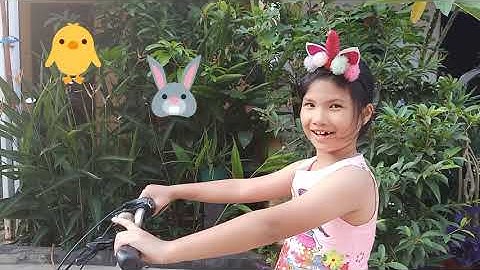 Math Olympiad Chicken and Rabbit Problem