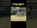 Ranking top 5 funny dogs movements #funny #dog