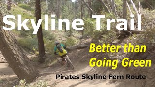 Skyline ( Plumbers ) MTB Trail | Pirates - Skyline - Fern Route | Big Bear CA 2020