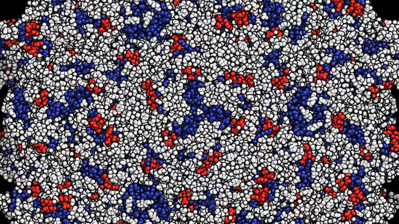 Caltech Biologists Deliver Neutralizing Antibodies that Protect Against HIV in Mice