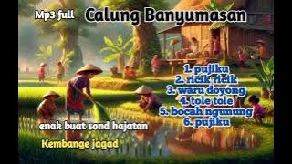 CALUNG BANYUMASAN//PUJIKU,WARU DOYONG,BOCAH NGUNUNG//KEMBANGE JAGAD,COCOK BUAT SOND HAJATAN