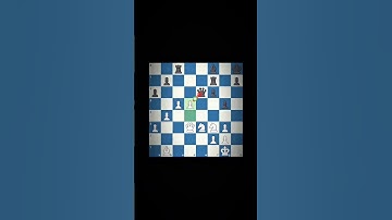 Brilliant chess move