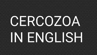 Cercozoa in english @NavalStudying