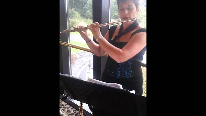 Susan Jolley Flute Sax Musician Wedding Fayre