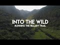 TRAIL RUNNING INSPIRATION | HILLARY TRAIL | NEW ZEALAND