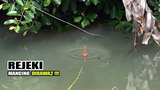 Astaga!!! Pemancing liar yang beruntung temukan sarang ikan #SG361