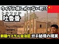 【ガチ秘境】ウイグル族しかいない町⁉中国新疆ウイグル自治区トルファンの現実