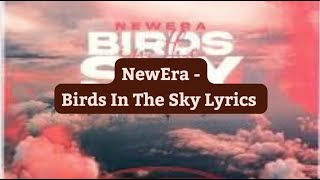 NewEra -  Birds In The Sky Lyrics