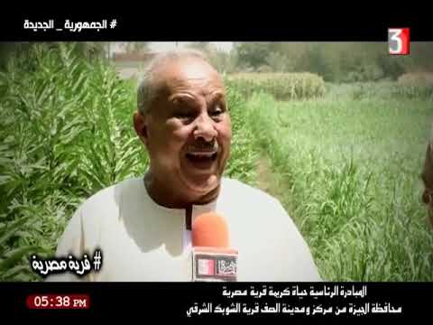 مشروعات حياة كريمة بمركز ومدينة الصف قرية الشوبك الشرقى ببرنامج القرية المصرية إعداد أمل عبد الله