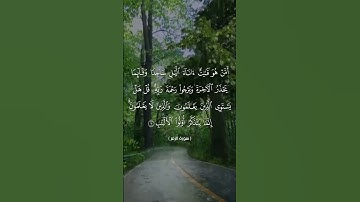 تلاوة لآيات من سورة الزمر_بصوت الأخ أبي المنتصر العشارة _أرح سمعك وقلبك