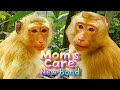 Rainbow&rsquo;s Emotional Day | Tender Mom Love &amp; a Sweet New Bond in the Wild