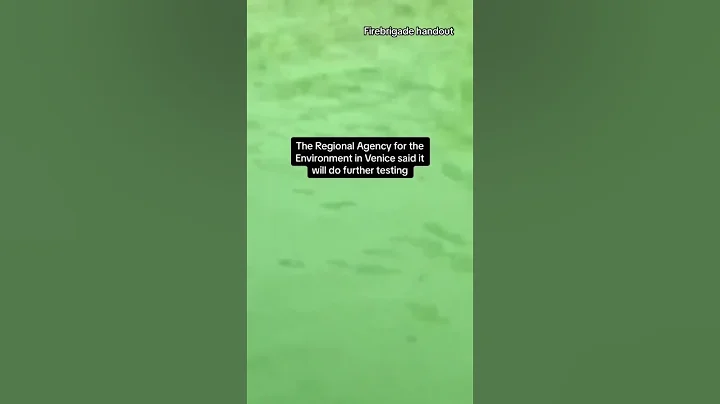 Reason for green water in Venice's Grand Canal revealed #shorts - DayDayNews