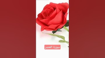 سورة العصر / القارئ عثمان الحداد