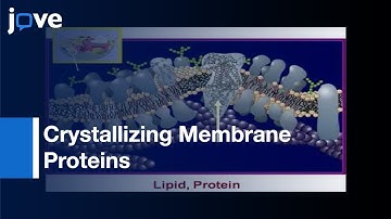 Crystallizing Membrane Proteins: Structure Determination Using Lipidic Mesophases l Protocol Preview