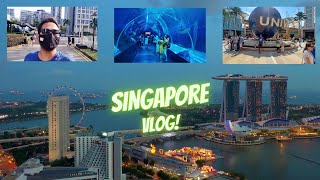 Singapore Sentosa Island Night Safari Sailors Life Signoff Diaries