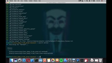 iOS App Security – Clement Prem