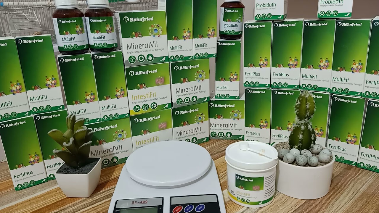 البكتيرية النافعة 🇩🇿 Intestifit