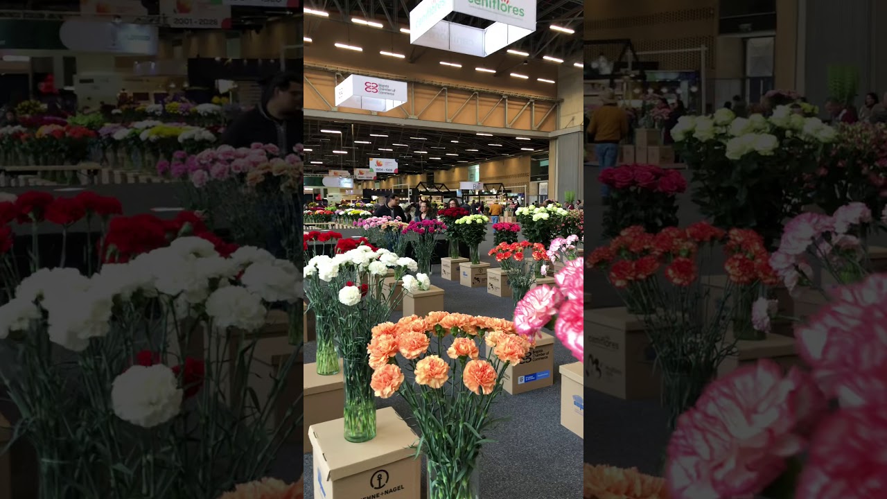 Annual Flower Show Bogotá Colombia Oct 2019 3