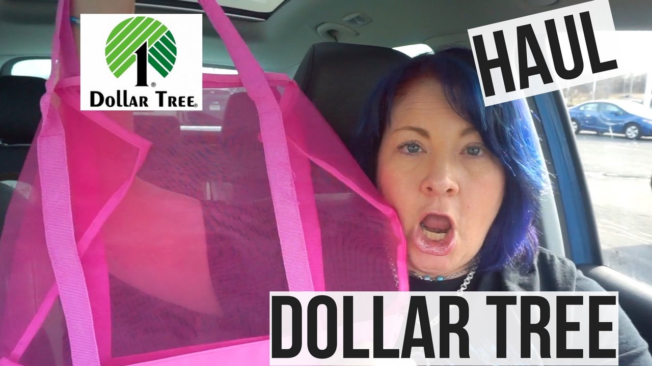 small mesh bolsas dollar tree