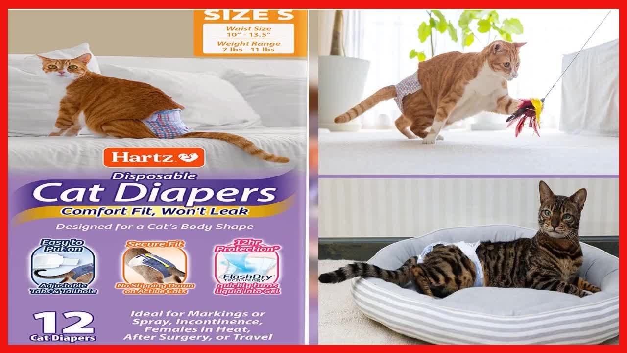 Hartz Disposable Cat Diapers, Easy to Put On, Comfortable & Secure Fit for 12 Hours Leak Protection,
