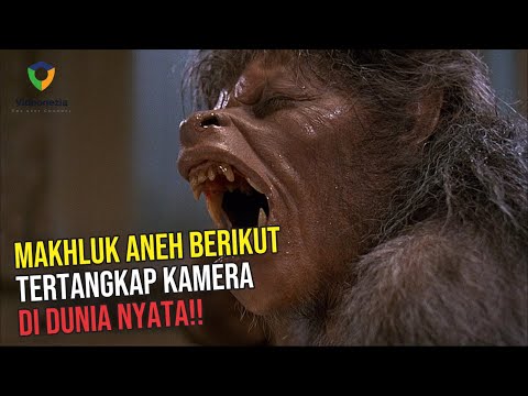 does goli acv gummies make you poop