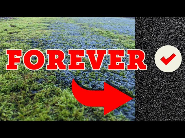 The secret to a moss free tarmac driveway class=