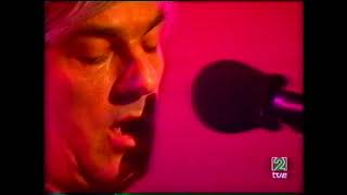 Watch Robyn Hitchcock If You Know Time video