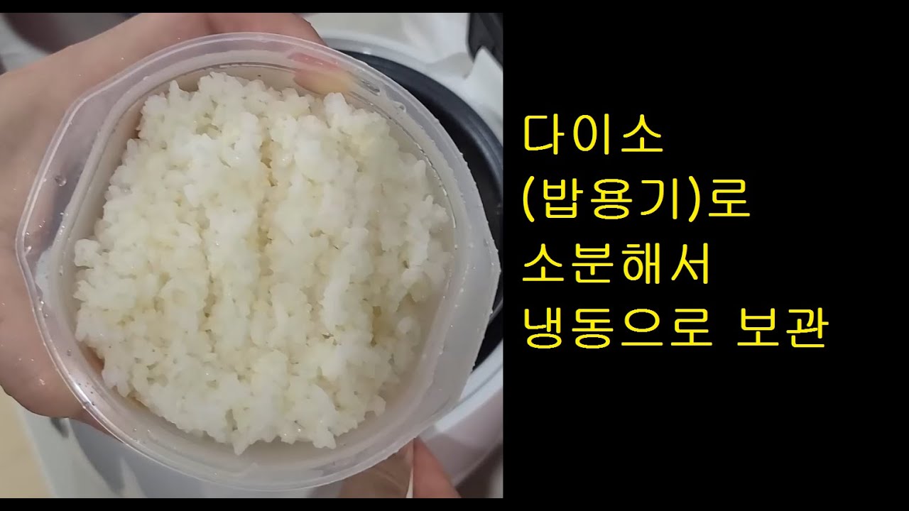다이소] 밥용기로 소분하고 냉동해서 보관! (전자레인지 용기) - Youtube