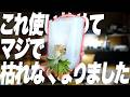 【園芸グッズ】この道具を使い始めて本当に植物を枯らさなくなりました。