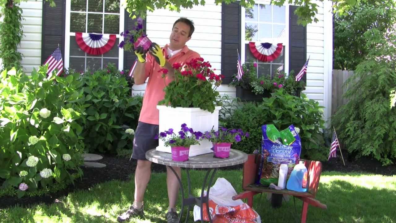 The Window Box Guy™, 732-895-6262, Root Bound Plant Tips, Deck Planter Boxes, Railing Planters