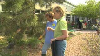 IN THE WEEDS-A Virginia Lottery Community Service Project