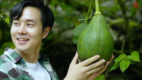 Men Tình Mẫu Sơn - Ngọc Ký | Mời bạn đến với Lạng Sơn thân yêu