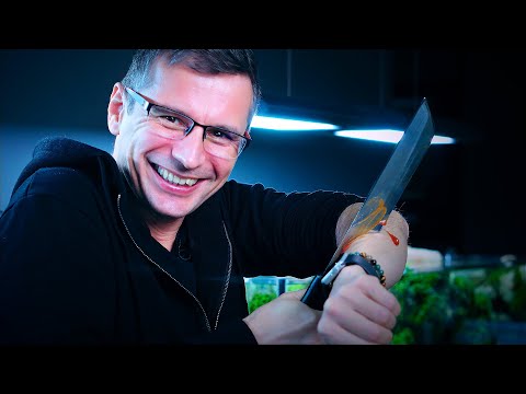 Video: Ako centrovať ikony na paneli úloh v systéme Windows 10